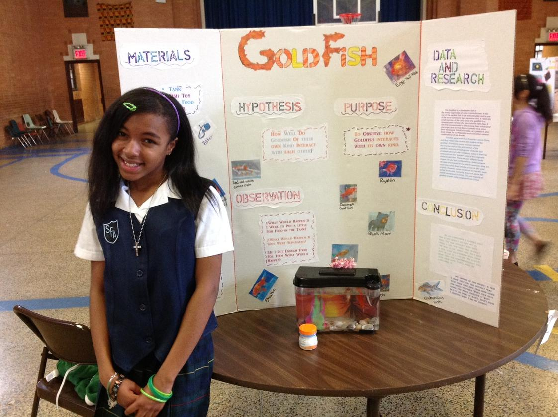 St. Francis Of Assisi Catholic Academy (Top-Ranked Private School with Brooklyn Catholic Schools Calendar 2026 - 2027